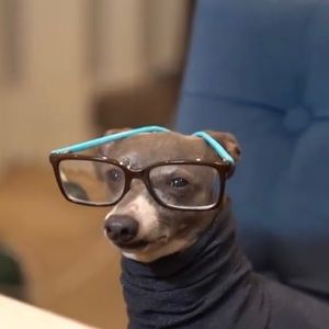 Meet your Posher, Leslie